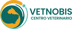 Grupo Vetnobis
